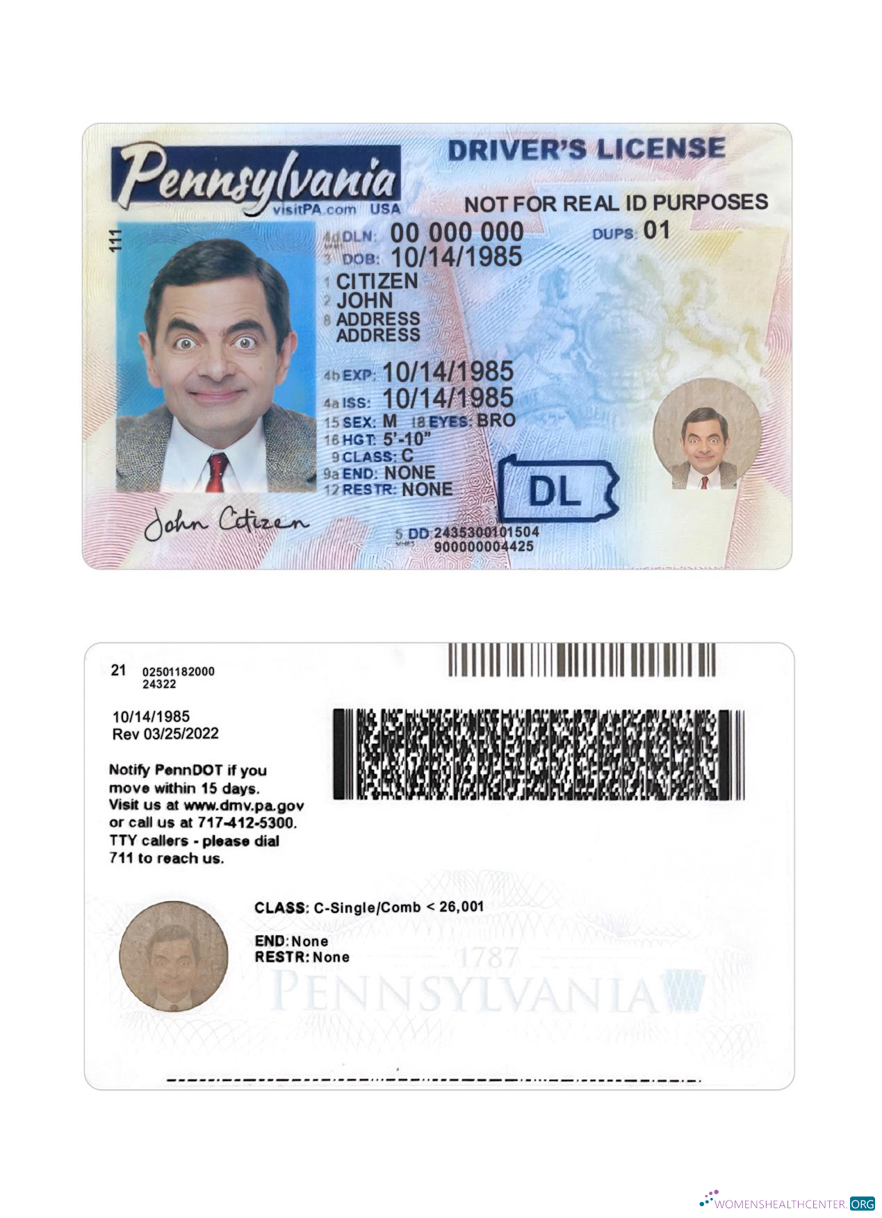 download USA Pennsylvania driving license 2024 present